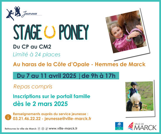 Le stage Poney au Haras de la Côte d'Opale
